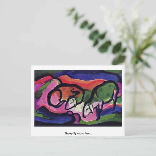 Carte Postale Sheep Par Marc Franz (Debout devant)