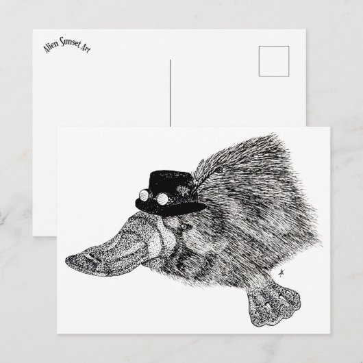 Carte Postale Sheffield le Platypus Steampunk (Devant / Derrière)