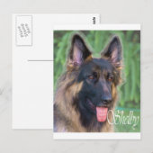 Carte Postale Shelby (Devant / Derrière)