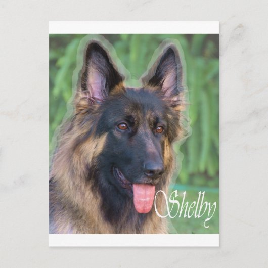 Carte Postale Shelby (Devant)