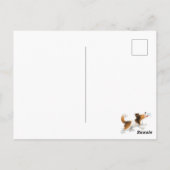 Carte Postale Sheldon le Sheltie (Dos)