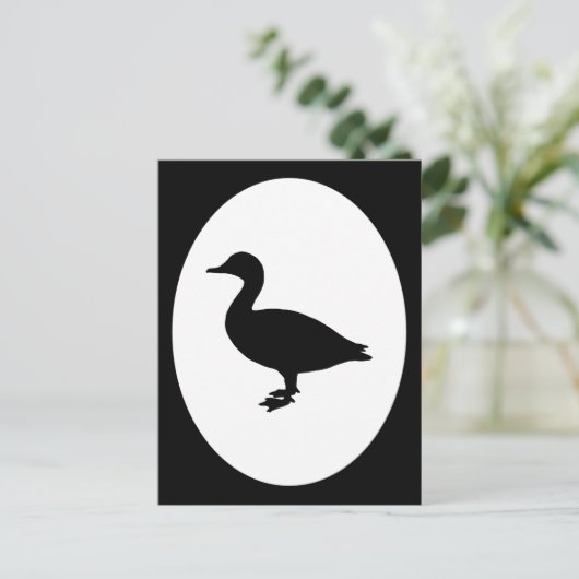 Carte Postale Sheldrake Duck (Debout devant)