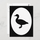 Carte Postale Sheldrake Duck (Devant / Derrière)