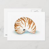 Carte postale Shell (Devant / Derrière)