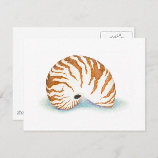 Carte postale Shell (Devant / Derrière)