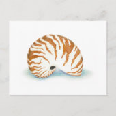 Carte postale Shell (Devant)