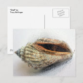 Carte postale Shell (Devant / Derrière)