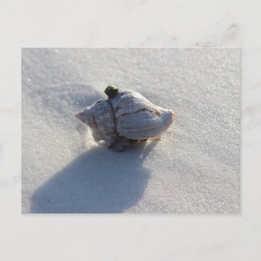 Carte Postale Shell (Devant)