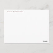 Carte postale Shell Beach Dollar Sand (Photo coule (Dos)