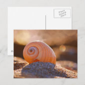 Carte Postale Shell Bokeh |Grèce (Devant / Derrière)