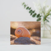 Carte Postale Shell Bokeh |Grèce (Debout devant)