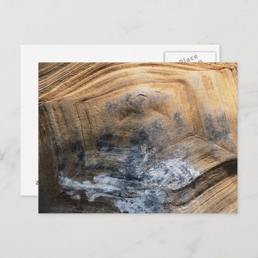 CARTE POSTALE SHELL GÉANT TORTOISE (Devant / Derrière)