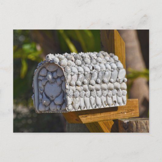 Carte Postale Shell Mailbox, Fort Myers Beach, Floride (Devant)