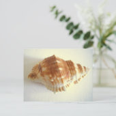 Carte Postale Shell maritime (Debout devant)