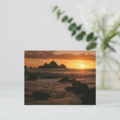 Carte Postale Shelter Cove (Debout devant)