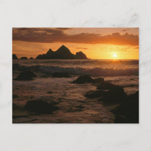 Carte Postale Shelter Cove