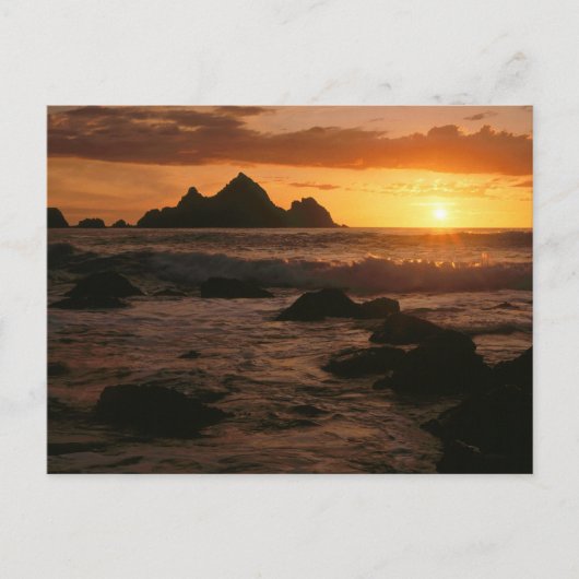 Carte Postale Shelter Cove (Devant)