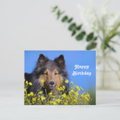 Carte Postale Sheltie Fleur Photo Anniversaire (Debout devant)