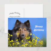 Carte Postale Sheltie Fleur Photo Anniversaire (Devant / Derrière)