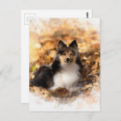 Carte Postale Sheltie Shetland Sheepdog Art Peinture (Devant / Derrière)