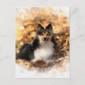 Carte Postale Sheltie Shetland Sheepdog Art Peinture (Devant)