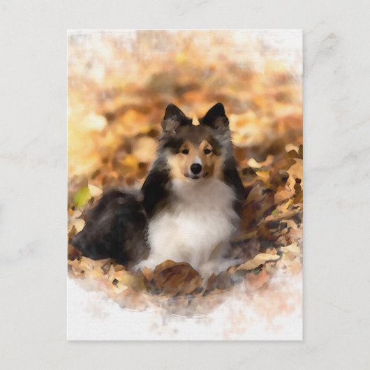 Carte Postale Sheltie Shetland Sheepdog Art Peinture (Devant)