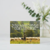 Carte Postale Shepherd and his sheep flock  (Debout devant)