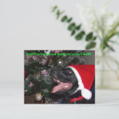 Carte postale Shepherd xmas (Debout devant)