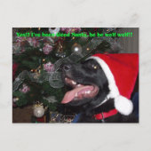 Carte postale Shepherd xmas (Devant)