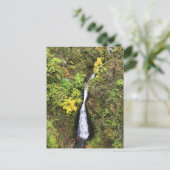 Carte Postale Shepphers Dell Falls, Gorge de Columbia, OR (Debout devant)