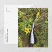 Carte Postale Shepphers Dell Falls, Gorge de Columbia, OR (Devant / Derrière)