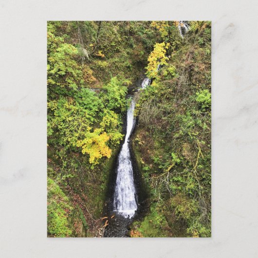 Carte Postale Shepphers Dell Falls, Gorge de Columbia, OR (Devant)