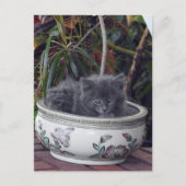 Carte Postale Sherlock Poted (Devant)