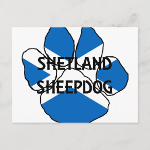 Carte Postale shetland nom de chien de mouton Scotland drapeau p