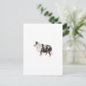 Carte Postale Shetland Sheepdog (Debout devant)