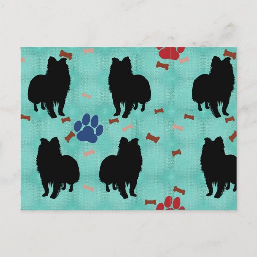 Carte Postale Shetland Sheepdog (Devant)