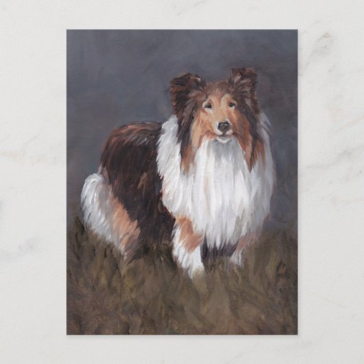 Carte postale Shetland Sheepdog Chien (Devant)