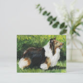 Carte postale Shetland Sheepdog Chien Art (Debout devant)