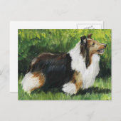Carte postale Shetland Sheepdog Chien Art (Devant / Derrière)