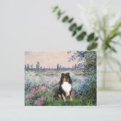 Carte Postale Shetland Sheepdog (Tri) - Sur la Seine (Debout devant)