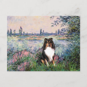 Carte Postale Shetland Sheepdog (Tri) - Sur la Seine