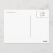 Carte Postale Shhh : Faune au travail (Dos)