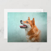 Carte Postale Shiba Inu dog (Devant / Derrière)