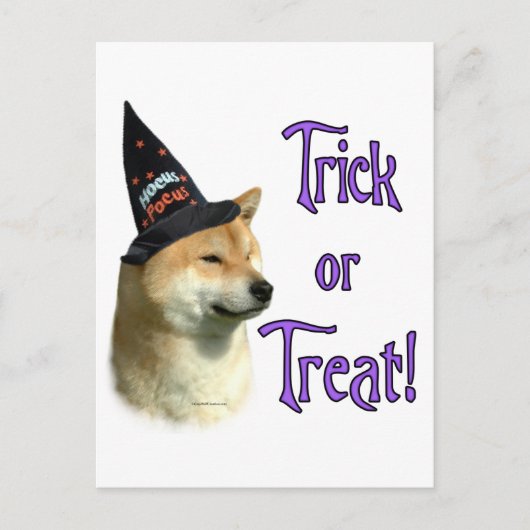 Carte Postale Shiba Inu Trick (Devant)