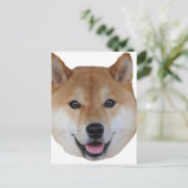 Carte Postale shibe.png (Debout devant)