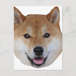 Carte Postale shibe.png