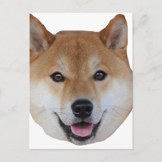 Carte Postale shibe.png (Devant)