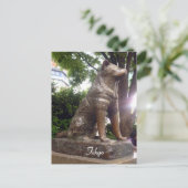 Carte Postale shibuya hachiko (Debout devant)