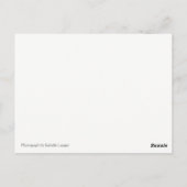 Carte postale Shih Tau Girl (Dos)