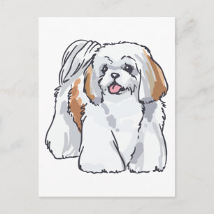 Carte Postale Shih Tzu
